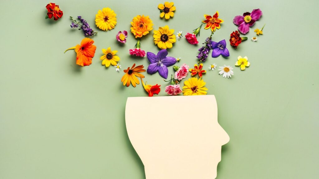 Eine Papiersilhouette eines menschlichen Profils auf grünem Hintergrund, aus dessen geöffnetem Kopf unzählige bunte Blumen sprießen. Das Bild visualisiert die aufblühende geistige und körperliche Gesundheit durch ein professionelles Mentalcoaching im Business.