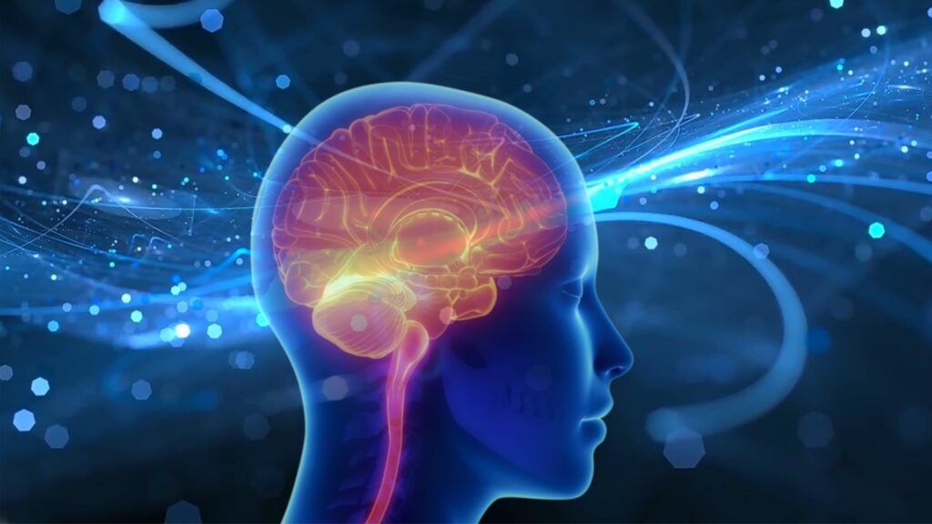 Eine stilisierte, blaue Silhouette eines menschlichen Kopfes mit einem rot leuchtenden, überaktiven Gehirn visualisiert den permanenten Alarmzustand und psychosomatische Beschwerden durch Stress.
