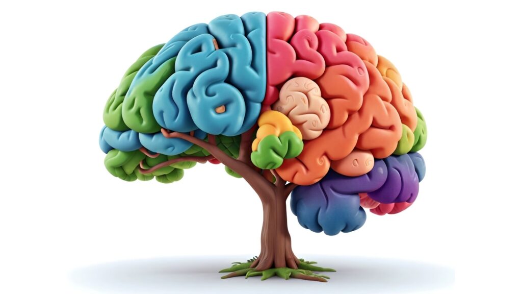 Ein stilisierter, bunter Baum, dessen Krone die Form eines menschlichen Gehirns hat, symbolisiert das Wachstum neuer Synapsen durch ein wissenschaftlich fundiertes Resilienztraining für Manager.