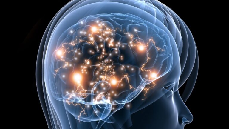 Eine transparente Silhouette eines menschlichen Kopfes im Profil mit einem leuchtenden Gehirn und elektrischen Impulsen visualisiert die aktive neuronale Regulation durch eine bewusste Atemtechnik im Stressmanagement.