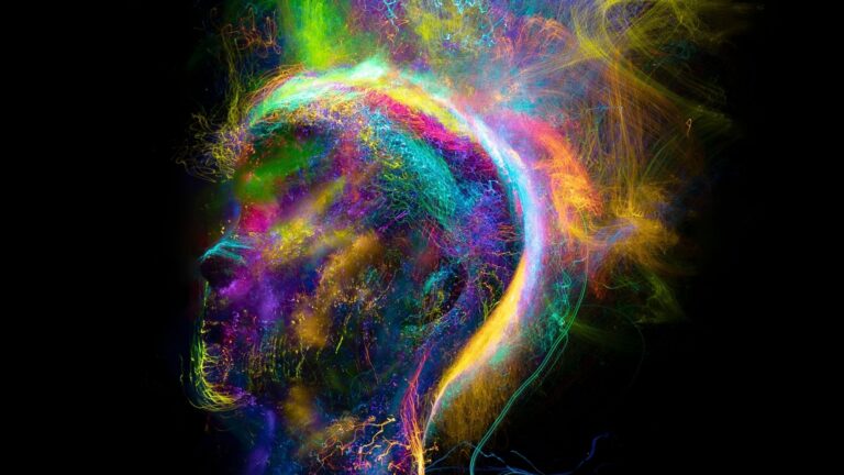 Eine leuchtende, abstrakte Profilansicht eines menschlichen Kopfes, geformt aus bunten, neuronalen Energielinien vor einem schwarzen Hintergrund. Die Grafik visualisiert die Neuroplastizität und die tiefgreifenden mentalen Veränderungen, die ein Business Coach Ruhrgebiet durch digitales Training bewirkt.