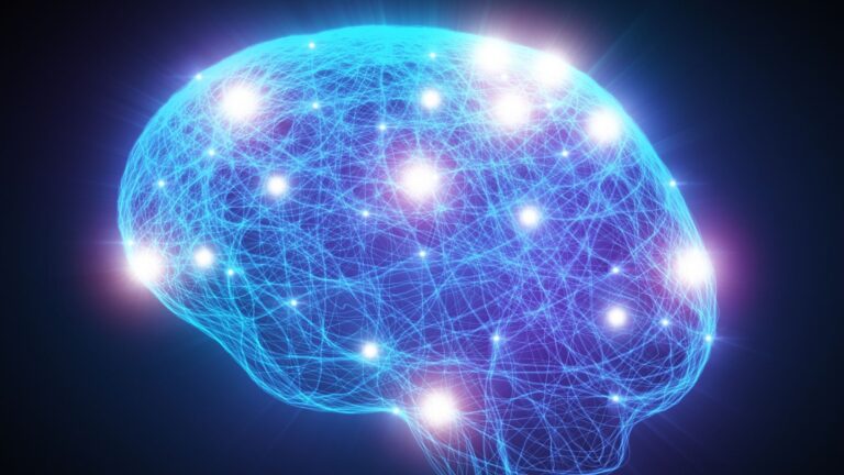 Eine abstrahierte, leuchtend blaue Darstellung eines menschlichen Gehirns, bestehend aus feinen neuronalen Netzwerken vor dunklem Hintergrund. Helle Lichtknotenpunkte visualisieren die aktive zelluläre Regeneration und die Wiederherstellung der kognitiven Leistungsfähigkeit während der Tiefschlafphase.