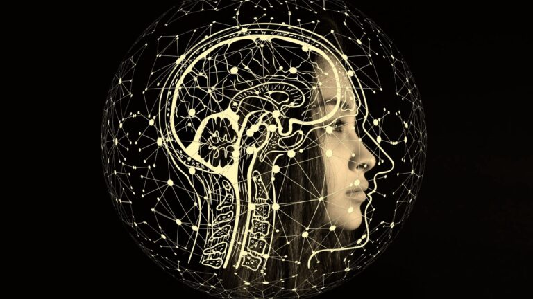 Eine abstrakte Profilansicht eines menschlichen Kopfes, überlagert von einem leuchtenden, komplexen neuronalen Netzwerk innerhalb einer Sphäre vor schwarzem Hintergrund. Die Grafik visualisiert die fest verdrahteten Denkmuster des Hochstapler-Syndroms bei Führungskräften und die Möglichkeit zur physischen Neuverdrahtung des Gehirns durch Neuroplastizität.